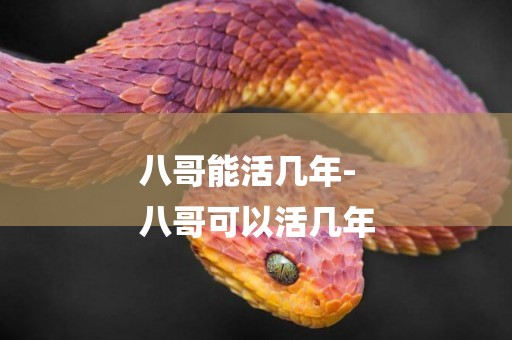 八哥能活幾年-
八哥可以活幾年