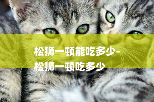 松獅一頓能吃多少-
松獅一頓吃多少