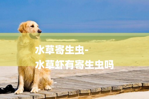 水草寄生蟲-
水草蝦有寄生蟲嗎