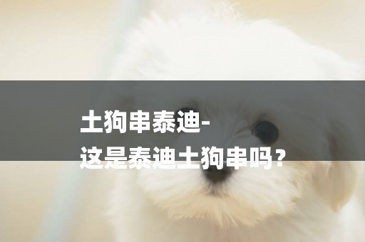 土狗串泰迪-
這是泰迪土狗串嗎？
