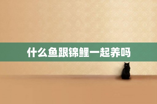 什么魚跟錦鯉一起養嗎