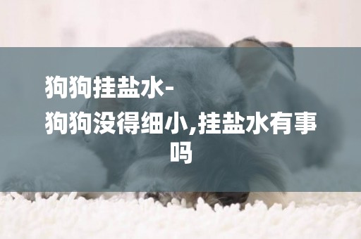 狗狗掛鹽水-
狗狗沒得細小,掛鹽水有事嗎