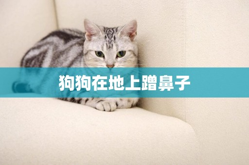 狗狗在地上蹭鼻子