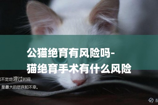 公貓絕育有風險嗎-
貓絕育手術有什么風險