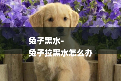 兔子黑水-
兔子拉黑水怎么辦