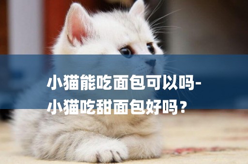 小貓能吃面包可以嗎-
小貓吃甜面包好嗎？