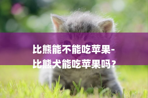 比熊能不能吃蘋果-
比熊犬能吃蘋果嗎？