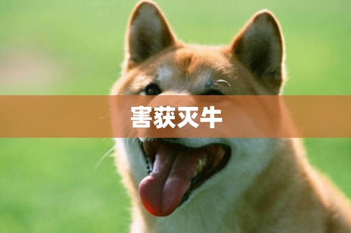 害獲滅牛