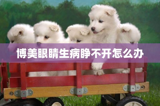 博美眼睛生病睜不開怎么辦