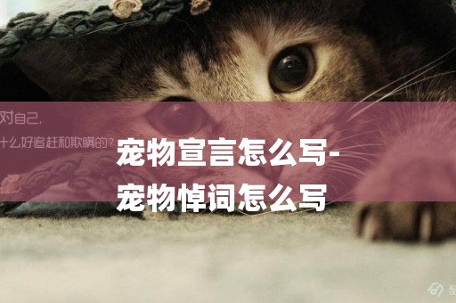 寵物宣言怎么寫-
寵物悼詞怎么寫