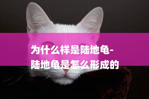 為什么樣是陸地龜-
陸地龜是怎么形成的