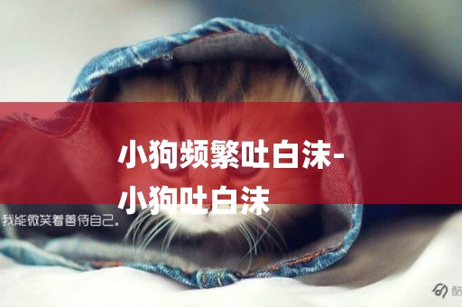 小狗頻繁吐白沫-
小狗吐白沫