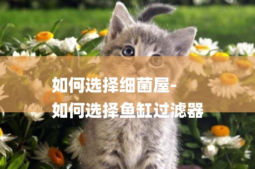 如何選擇細菌屋-
如何選擇魚缸過濾器