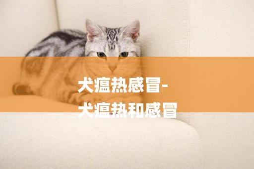 犬瘟熱感冒-
犬瘟熱和感冒