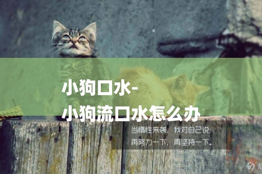 小狗口水-
小狗流口水怎么辦