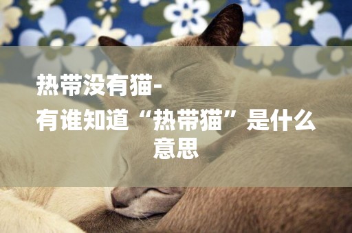 熱帶沒有貓-
有誰知道“熱帶貓”是什么意思