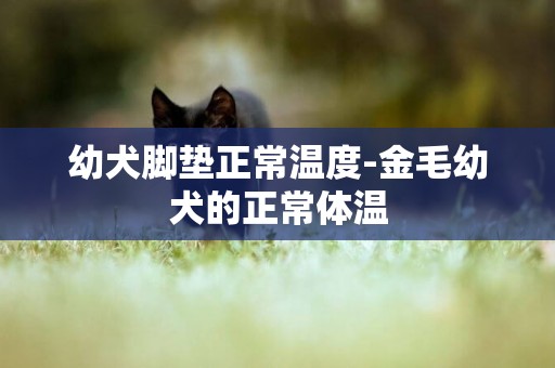 幼犬腳墊正常溫度-金毛幼犬的正常體溫