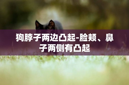 狗脖子兩邊凸起-臉頰、鼻子兩側有凸起