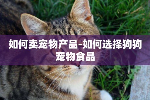 如何賣寵物產品-如何選擇狗狗寵物食品