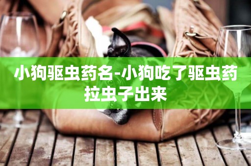 小狗驅蟲藥名-小狗吃了驅蟲藥拉蟲子出來