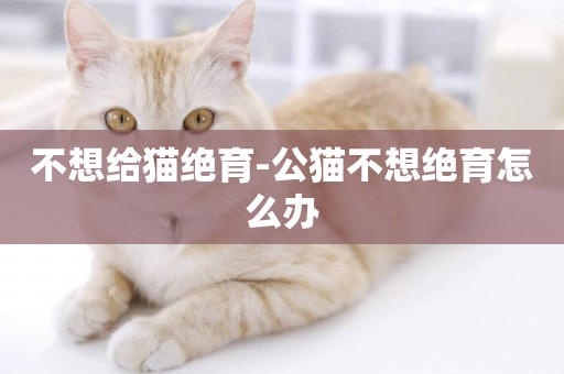 不想給貓絕育-公貓不想絕育怎么辦