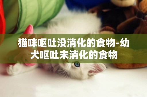 貓咪嘔吐沒消化的食物-幼犬嘔吐未消化的食物
