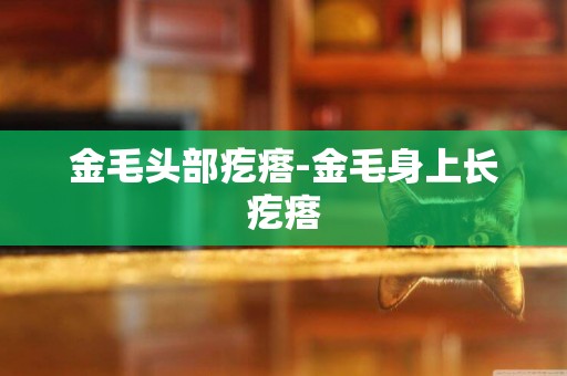 金毛頭部疙瘩-金毛身上長疙瘩