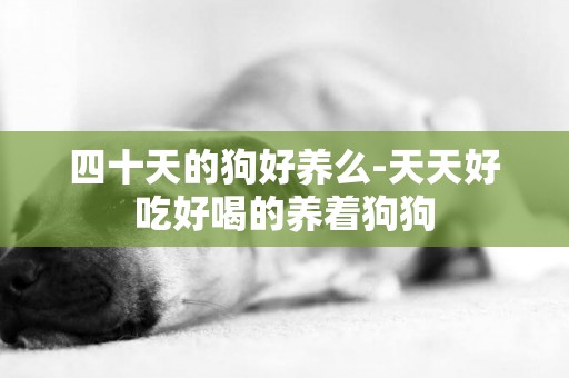 四十天的狗好養么-天天好吃好喝的養著狗狗