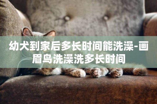 幼犬到家后多長時間能洗澡-畫眉鳥洗澡洗多長時間