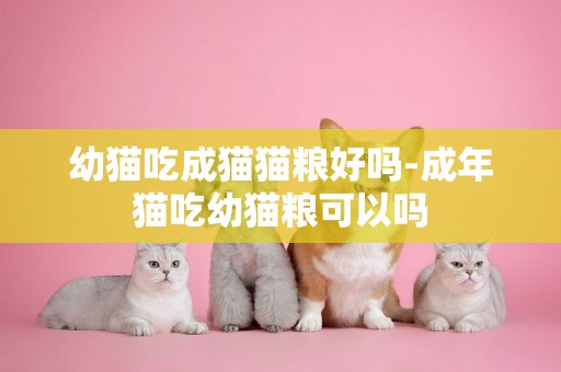 幼貓吃成貓貓糧好嗎-成年貓吃幼貓糧可以嗎