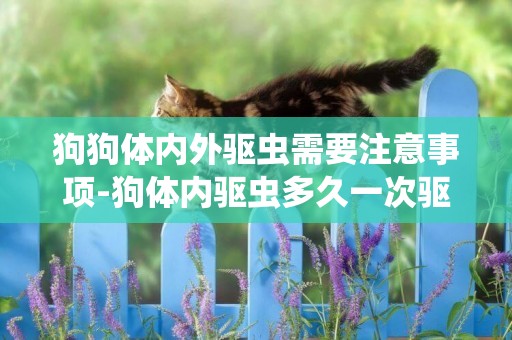 狗狗體內外驅蟲需要注意事項-狗體內驅蟲多久一次驅蟲時需要注意什么