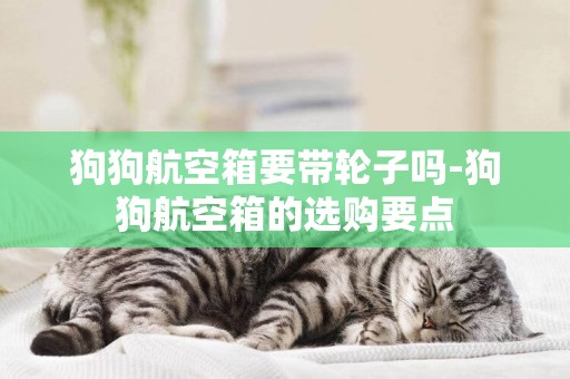 狗狗航空箱要帶輪子嗎-狗狗航空箱的選購要點