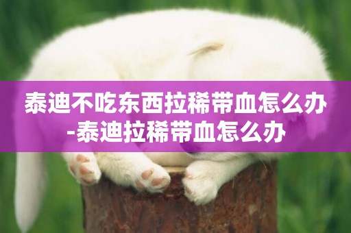 泰迪不吃東西拉稀帶血怎么辦-泰迪拉稀帶血怎么辦