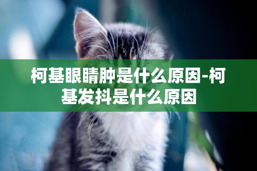 柯基眼睛腫是什么原因-柯基發抖是什么原因