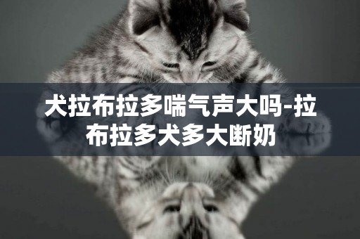 犬拉布拉多喘氣聲大嗎-拉布拉多犬多大斷奶