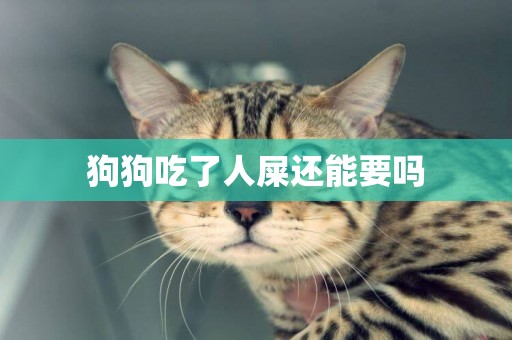狗狗吃了人屎還能要嗎