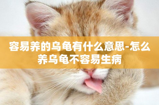 容易養的烏龜有什么意思-怎么養烏龜不容易生病