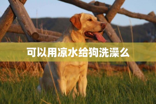 可以用涼水給狗洗澡么