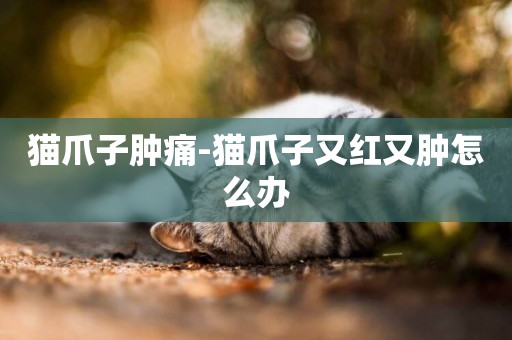 貓爪子腫痛-貓爪子又紅又腫怎么辦