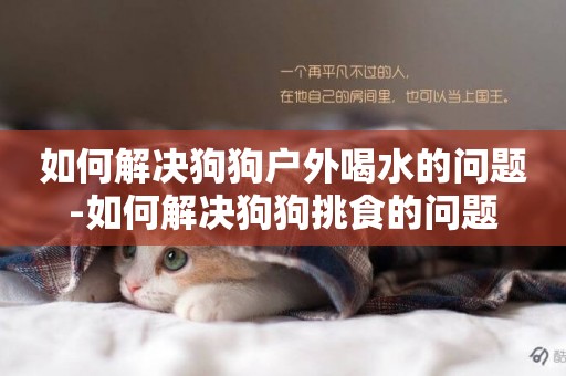 如何解決狗狗戶外喝水的問題-如何解決狗狗挑食的問題