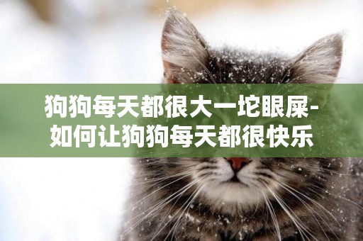 狗狗每天都很大一坨眼屎-如何讓狗狗每天都很快樂