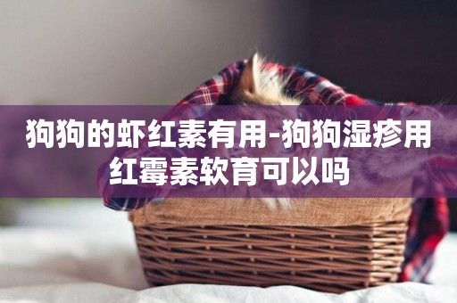 狗狗的蝦紅素有用-狗狗濕疹用紅霉素軟育可以嗎