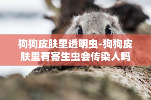 狗狗皮膚里透明蟲-狗狗皮膚里有寄生蟲會傳染人嗎