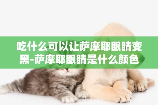 吃什么可以讓薩摩耶眼睛變黑-薩摩耶眼睛是什么顏色