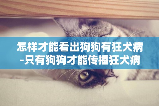 怎樣才能看出狗狗有狂犬病-只有狗狗才能傳播狂犬病嗎