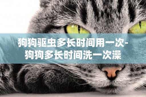狗狗驅蟲多長時間用一次-狗狗多長時間洗一次澡