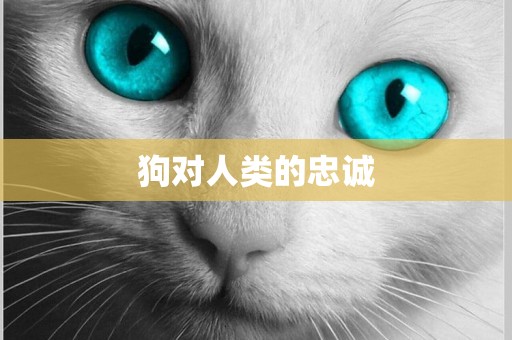 狗對人類的忠誠