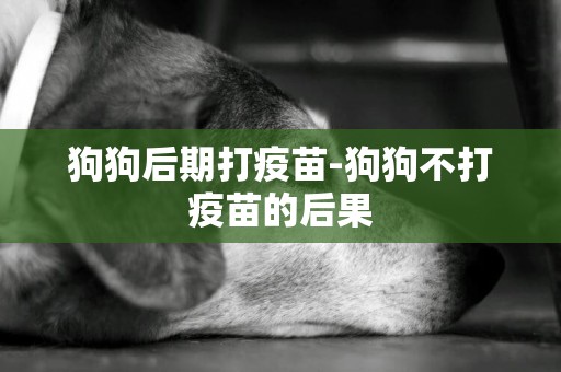 狗狗后期打疫苗-狗狗不打疫苗的后果