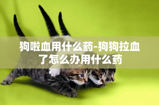 狗啦血用什么藥-狗狗拉血了怎么辦用什么藥
