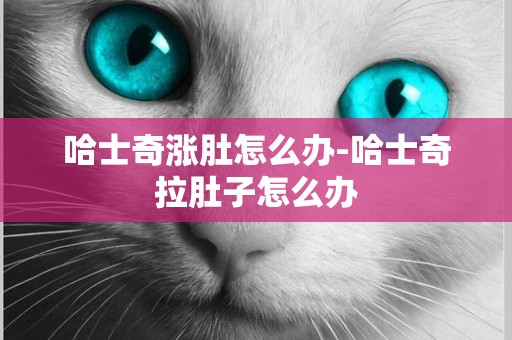 哈士奇漲肚怎么辦-哈士奇拉肚子怎么辦